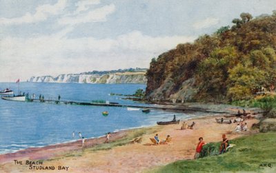 The Beach, Studland Bay by Alfred Robert Quinton